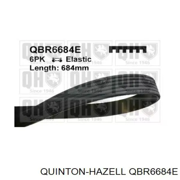 Compre 6PK684ELAST Continental/Siemens Correia dos conjuntos de transmissão