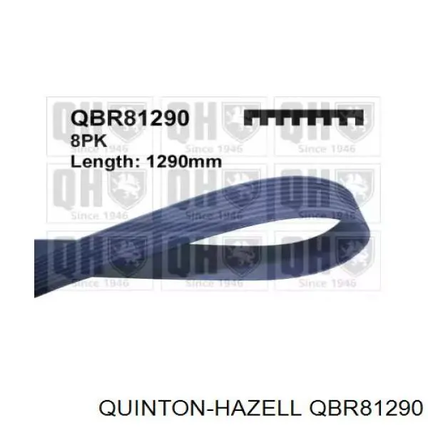 Compre 8PK1285 Dayco Correia dos conjuntos de transmissão