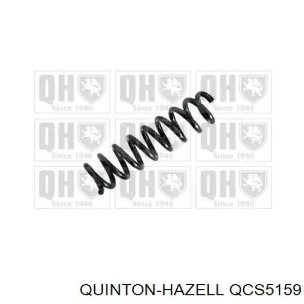 33536851727 BMW Mola traseira