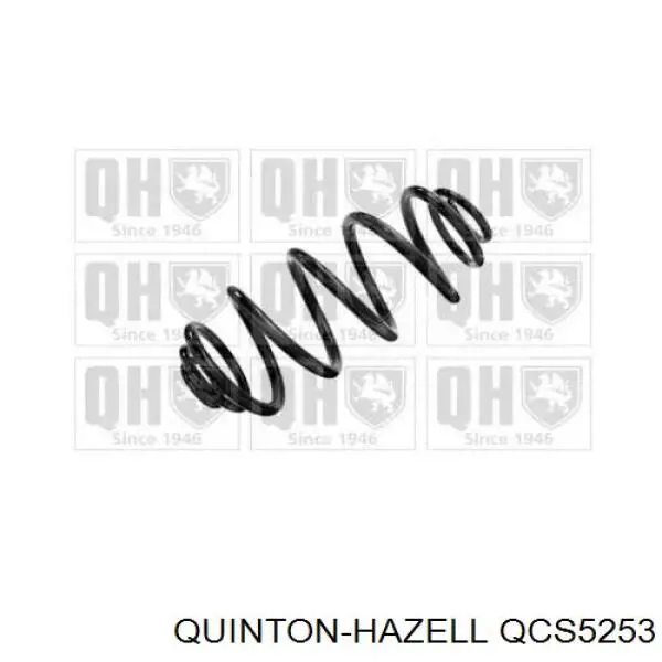Mola traseira QUINTON HAZELL QCS5253 preço, a partir de 155,85 USD