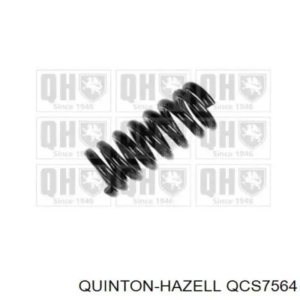 Mola traseira para Citroen C15  VD