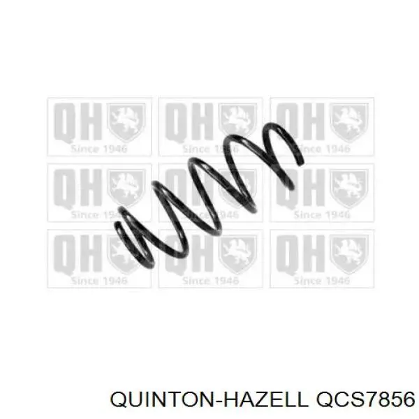 Mola dianteira VAG 6Q0411105M preço, a partir de 62,78 USD