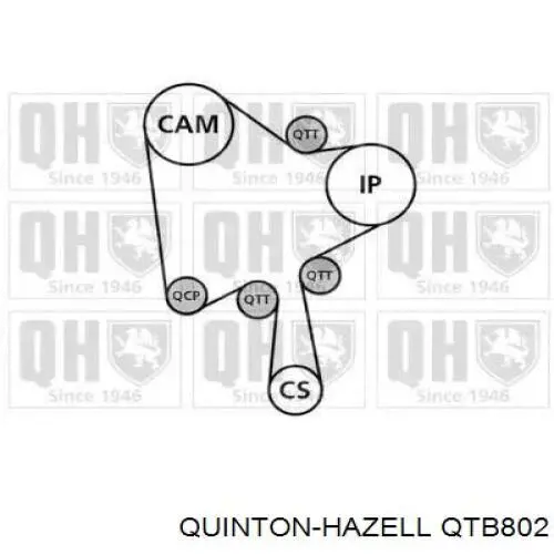 QTB802 QUINTON HAZELL Correia do mecanismo de distribuição de gás