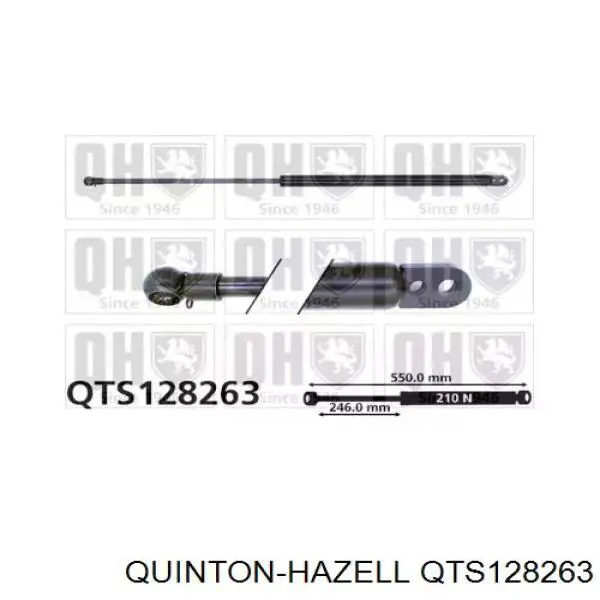 60502523 Fiat/Alfa/Lancia Amortecedor de tampa de porta-malas (de 3ª/5ª porta traseira)
