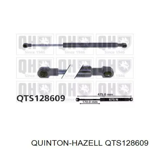 Amortecedor de tampa de porta-malas (de 3ª/5ª porta traseira) Renault (RVI) 7700427547 preço, a partir de 12,10 USD
