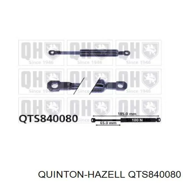6025312658 Renault (RVI) Amortecedor da mesa dobrável de assento