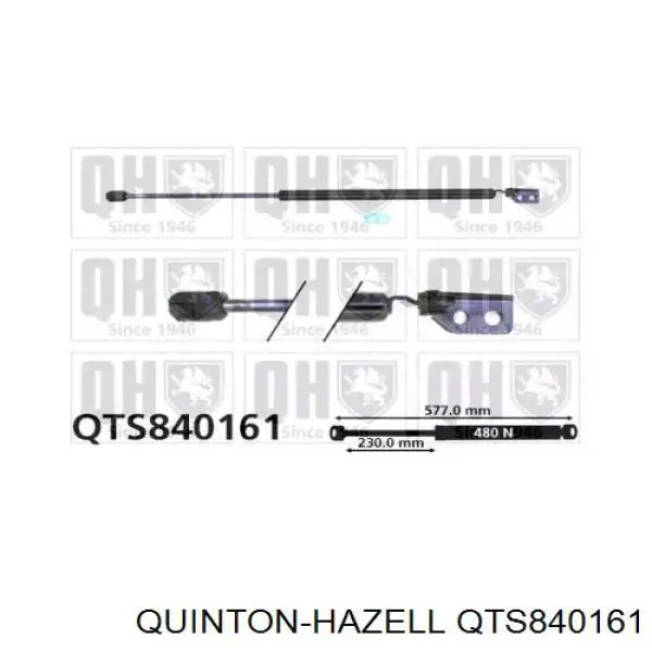 Amortecedor de tampa de porta-malas (de 3ª/5ª porta traseira) Hyundai/Kia 8178025200DS preço, a partir de 38,00 USD