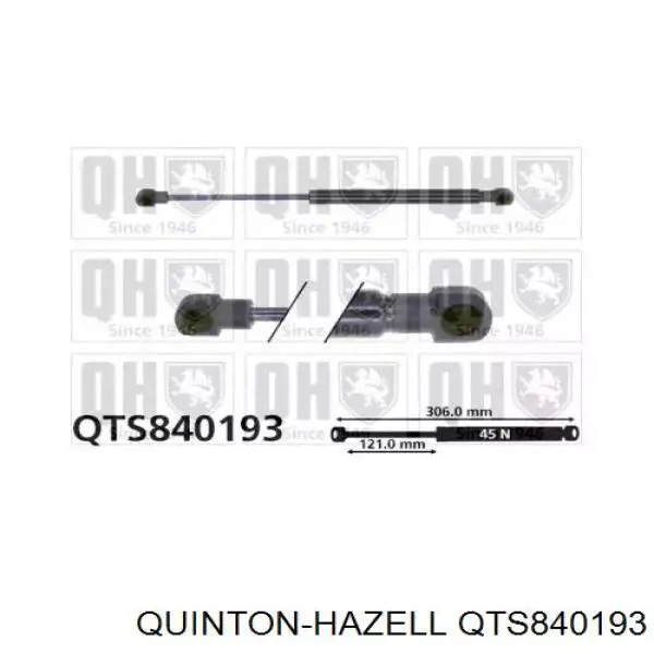 Amortecedor de tampa de porta-malas (de 3ª/5ª porta traseira) GS0177 Magneti Marelli