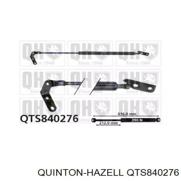 QTS840276 QUINTON HAZELL Amortecedor de tampa de porta-malas (de 3ª/5ª porta traseira)