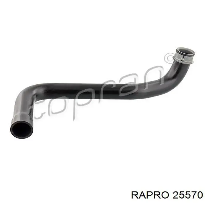 Compre 9065010382 VAG Mangueira (cano derivado) inferior do radiador de esfriamento