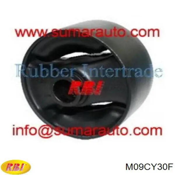 Coxim (suporte) dianteiro de motor M09CY30F RBI