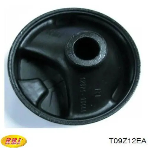 T09Z12EA RBI Coxim (suporte) traseiro de motor