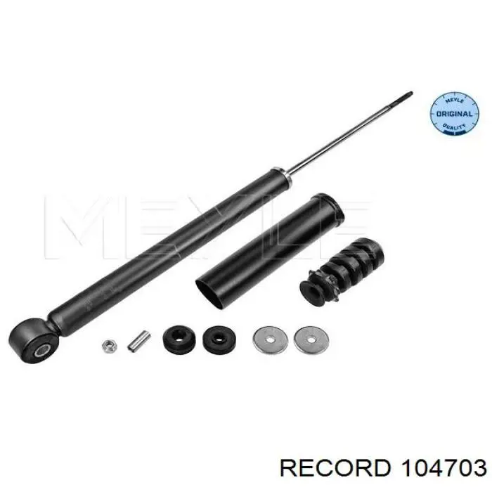Compre 104703 Record Amortecedor traseiro
