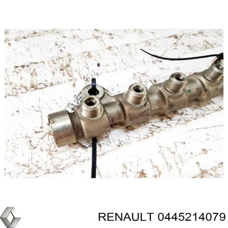 0445214079 Renault (RVI) Distribuidor de combustível (rampa)