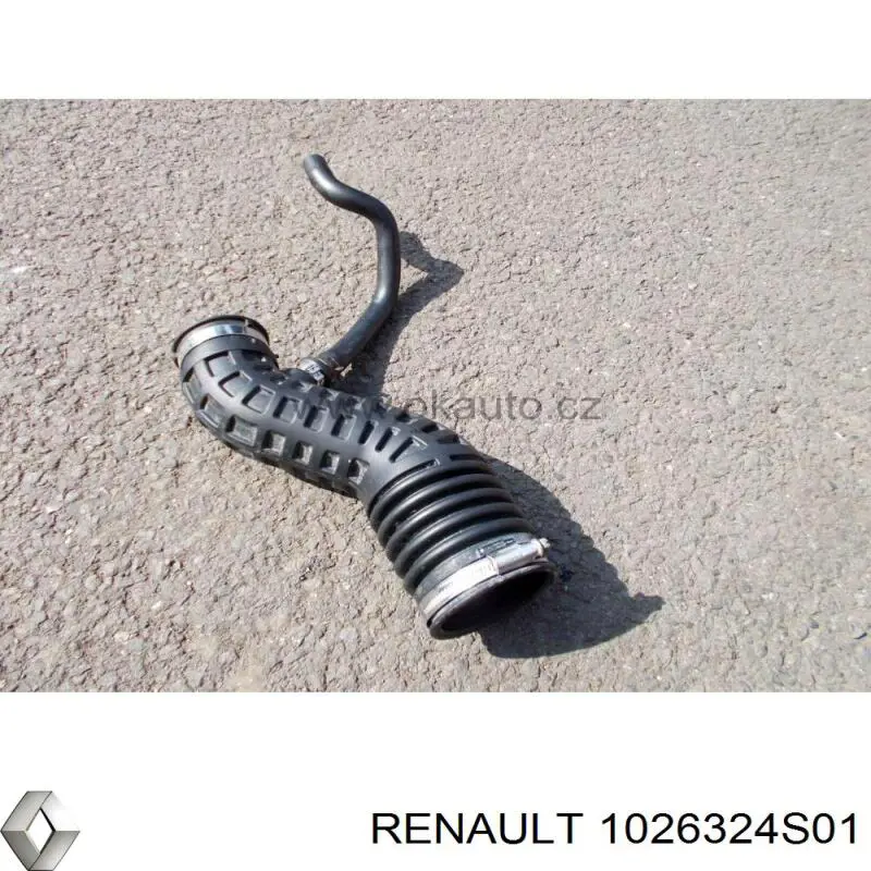 1026324S01 Renault (RVI) 