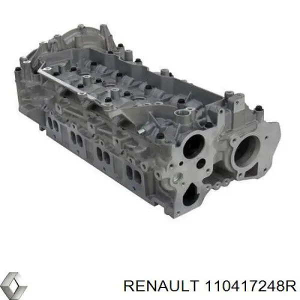 110417248R Renault (RVI) Cabeça de motor (CBC)