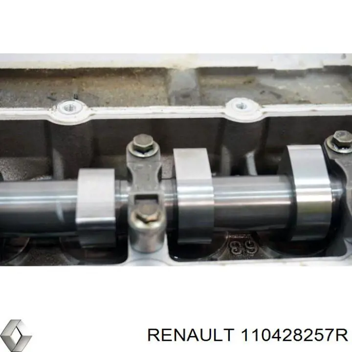 Compre 110428257R Renault (RVI) Cabeça de motor (CBC)