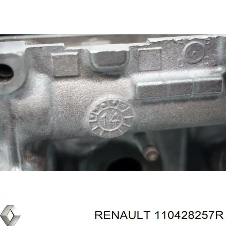Cabeça de motor (CBC) Renault (RVI) 110428257R preço, a partir de 477,55 USD