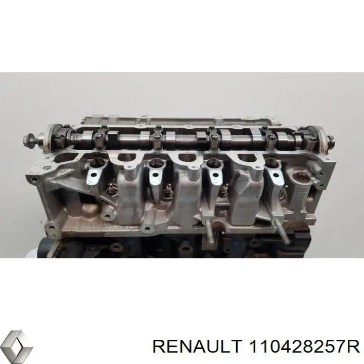Compre 110428257R Renault (RVI) Cabeça de motor (CBC)