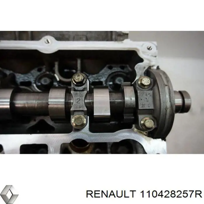 Cabeça de motor (CBC) Renault (RVI) 110428257R preço, a partir de 477,55 USD