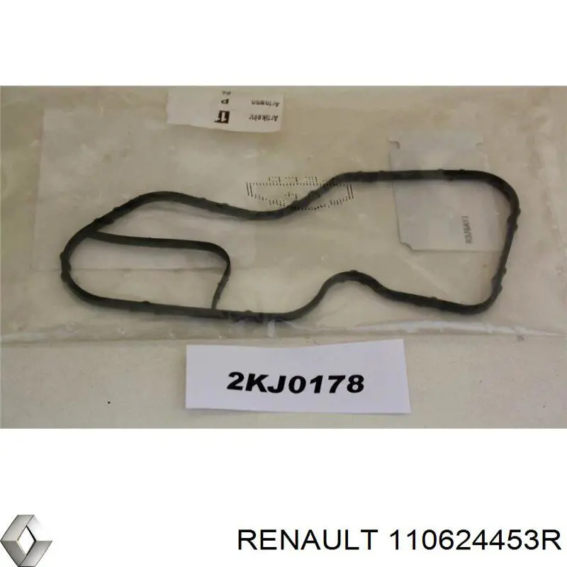 110624453R Renault (RVI) Vedante de caixa do termostato