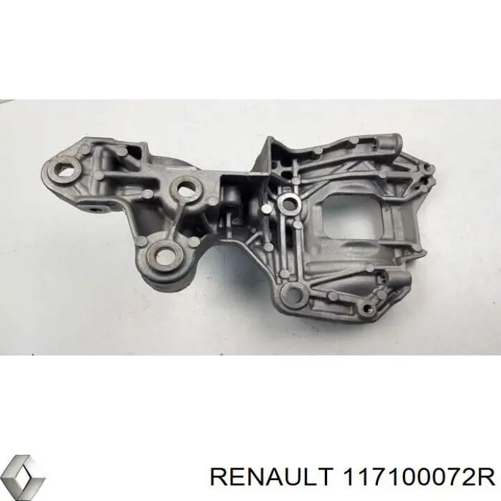 117100072R Renault (RVI) 