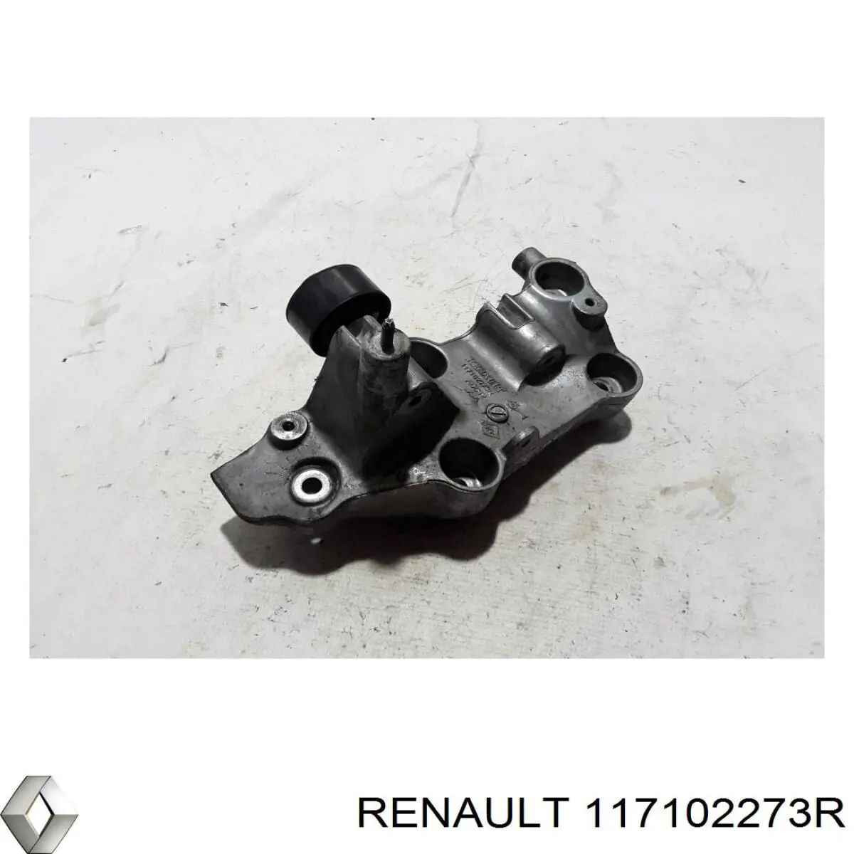 117102273R Renault (RVI) 