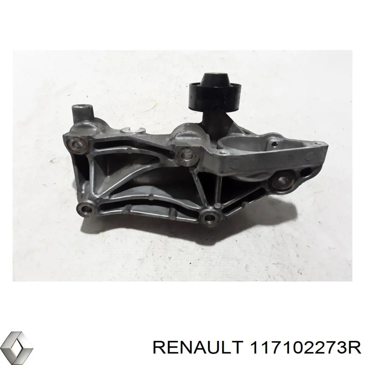 Compre 117102273R Renault (RVI) 