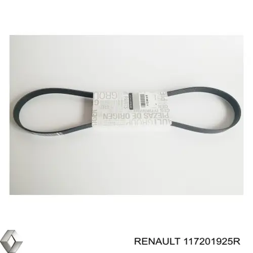Compre 117201925R Renault (RVI) Correia dos conjuntos de transmissão, kit