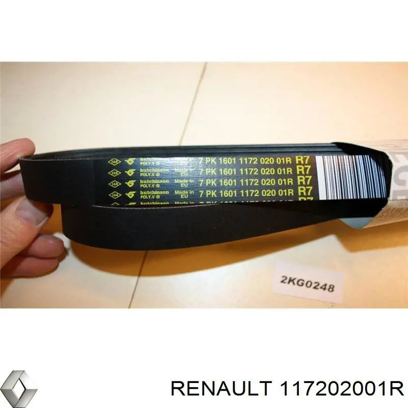 Compre 117202001R Renault (RVI) Correia dos conjuntos de transmissão
