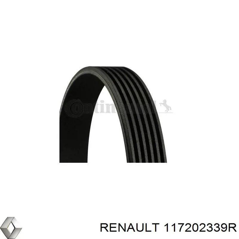 Correia dos conjuntos de transmissão, kit Renault (RVI) 117202339R preço, a partir de 85,47 USD