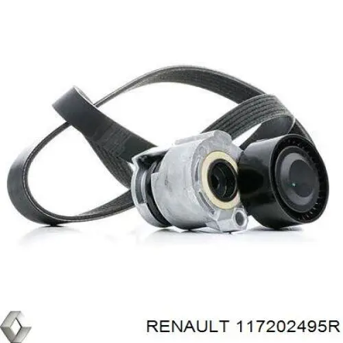 117202495R Renault (RVI) Correia dos conjuntos de transmissão, kit