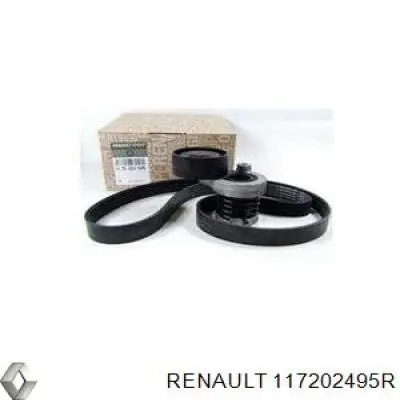 Compre 117202495R Renault (RVI) Correia dos conjuntos de transmissão, kit