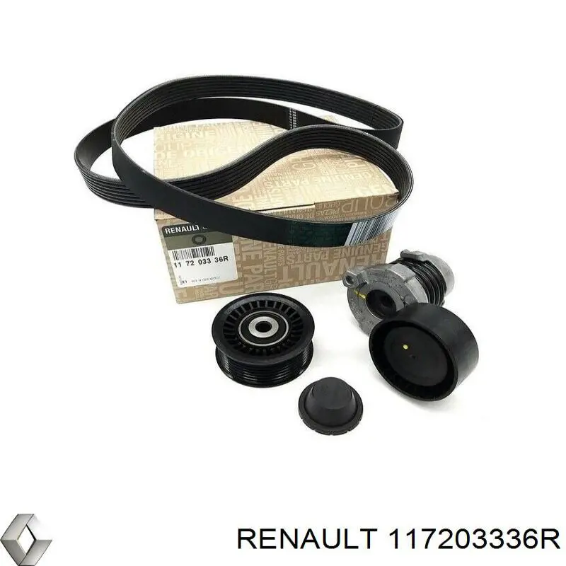 117203336R Renault (RVI) Correia dos conjuntos de transmissão, kit