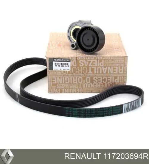 117203694R Renault (RVI) Correia dos conjuntos de transmissão, kit