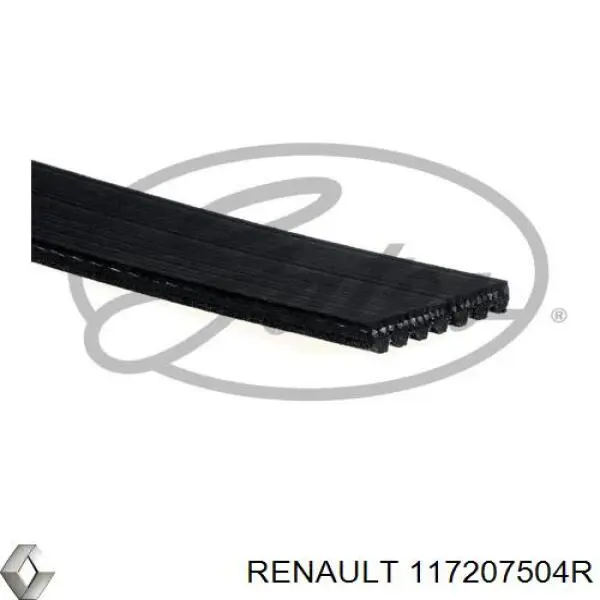 Compre 117207504R Renault (RVI) Correia dos conjuntos de transmissão