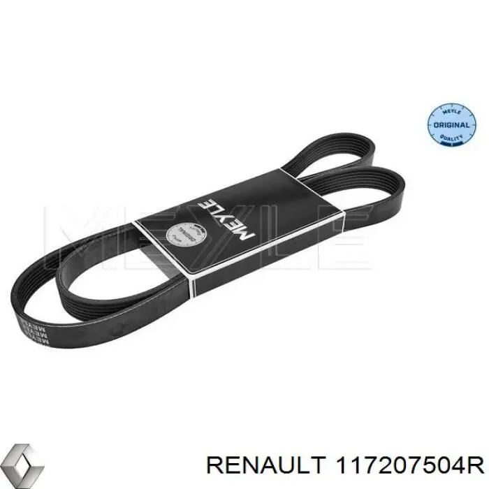 Compre 117207504R Renault (RVI) Correia dos conjuntos de transmissão