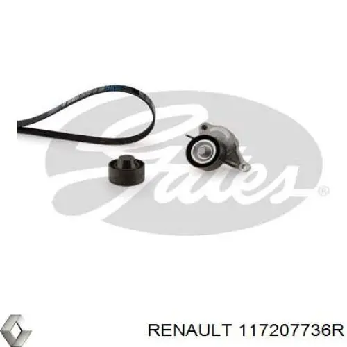 117207736R Renault (RVI) Correia dos conjuntos de transmissão, kit