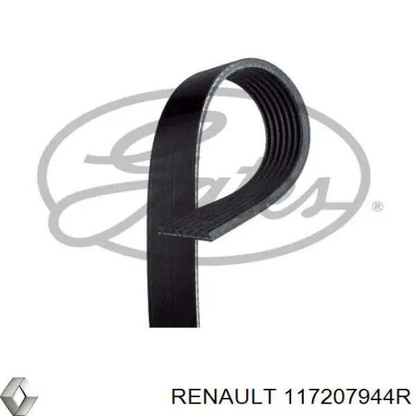Compre 117207944R Renault (RVI) Correia dos conjuntos de transmissão