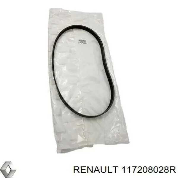 Correia dos conjuntos de transmissão, kit 117208028R Renault (RVI)
