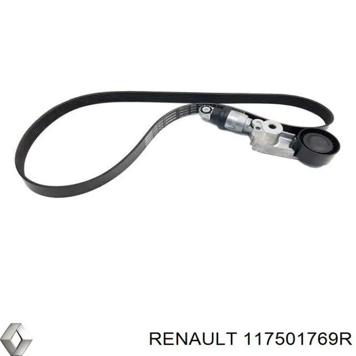 Compre 117501769R Renault (RVI) 