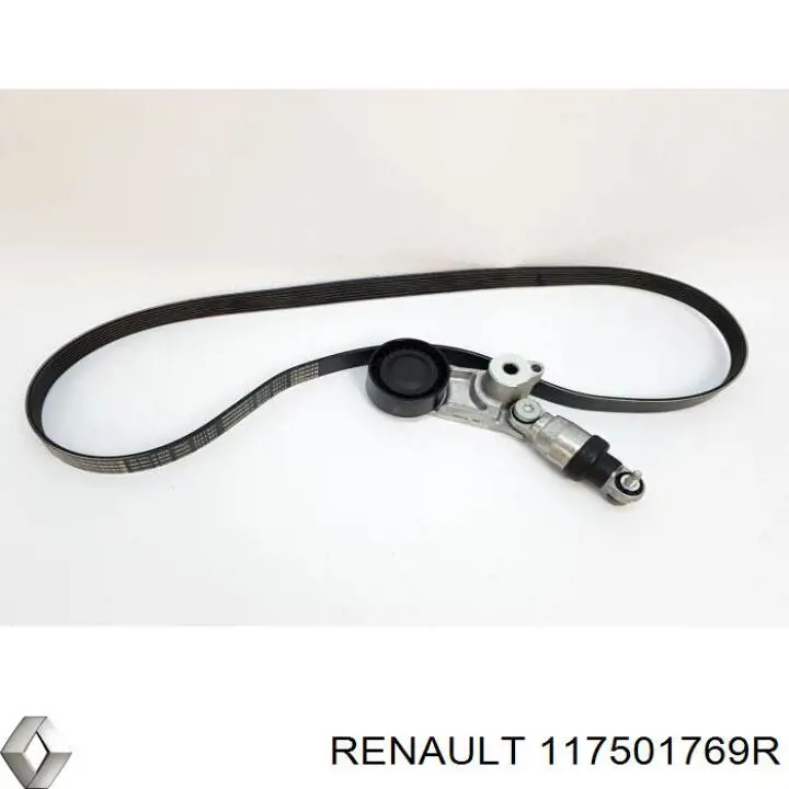  Renault (RVI) 117501769R