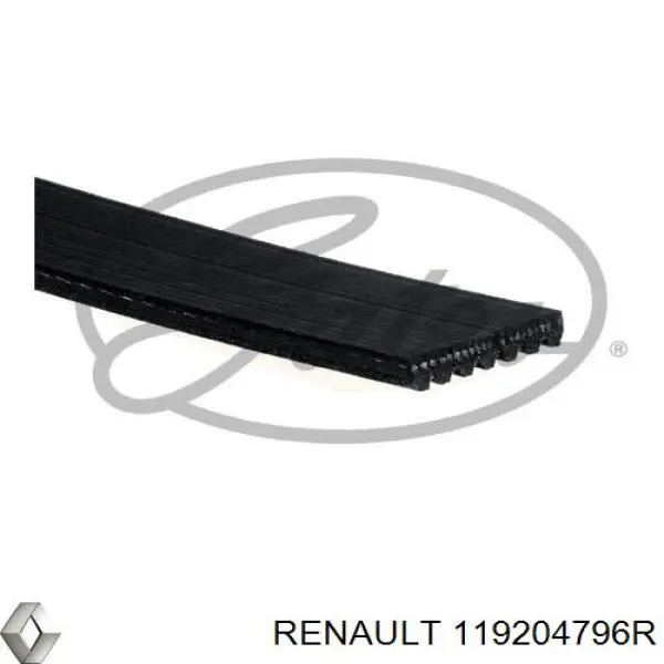 119204796R Renault (RVI) Correia dos conjuntos de transmissão