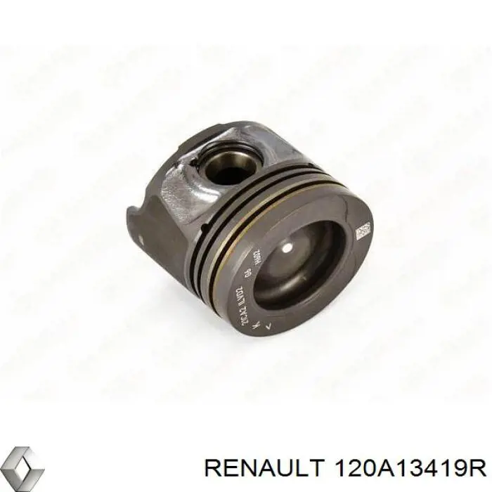 120A13419R Renault (RVI) Pistão do kit para 1 cilindro, STD