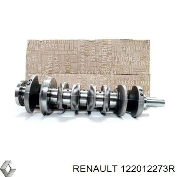 122012273R Renault (RVI) Cambota de motor