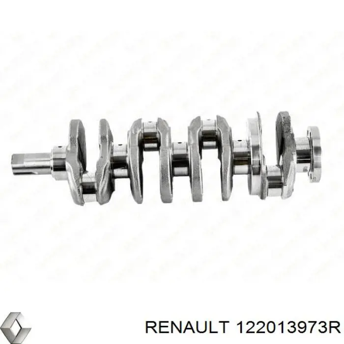 122013973R Renault (RVI) Cambota de motor
