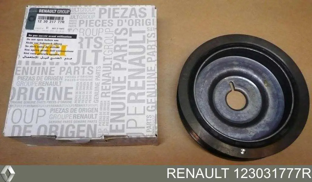 123031777R Renault (RVI) Polia de cambota