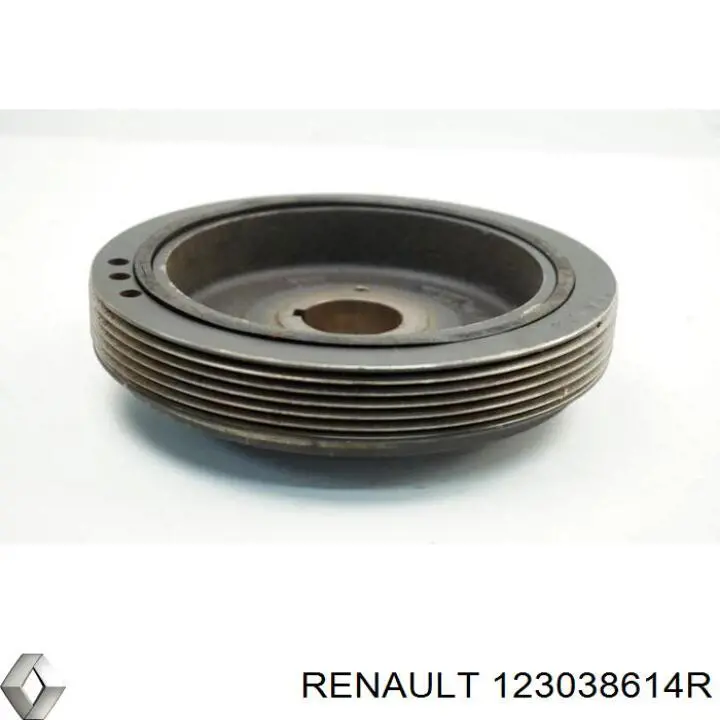 123038614R Renault (RVI) Polia de cambota