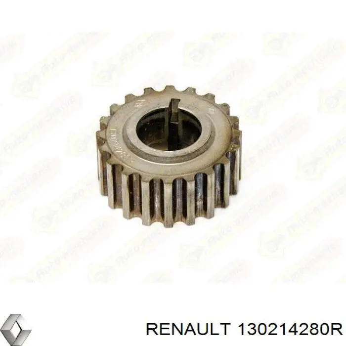 130214280R Renault (RVI) Engrenagem de cadeia da roda dentada de acionamento de cambota de motor