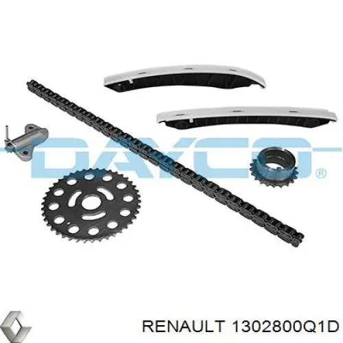 1302800Q1D Renault (RVI) Cadeia do mecanismo de distribuição de gás, kit